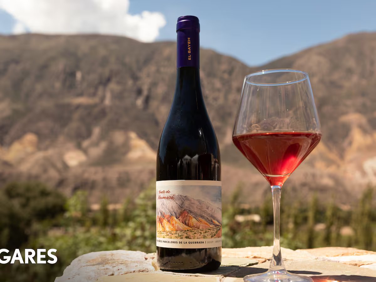 Elaboración en Bodega El Bayeh